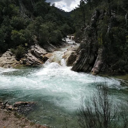 Rural Arroyo La Teja Pensión *
